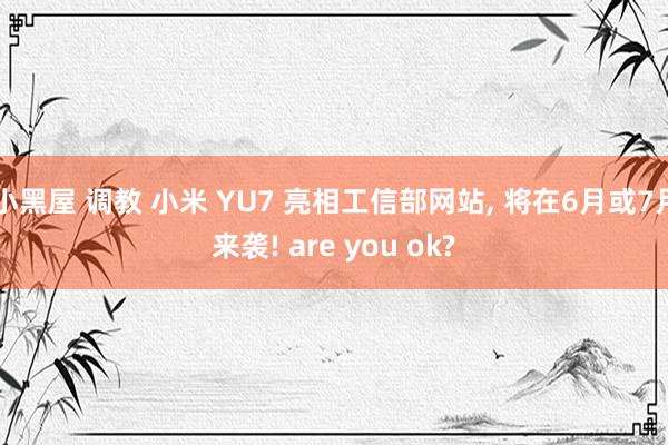 小黑屋 调教 小米 YU7 亮相工信部网站， 将在6月或7月来袭! are you ok?