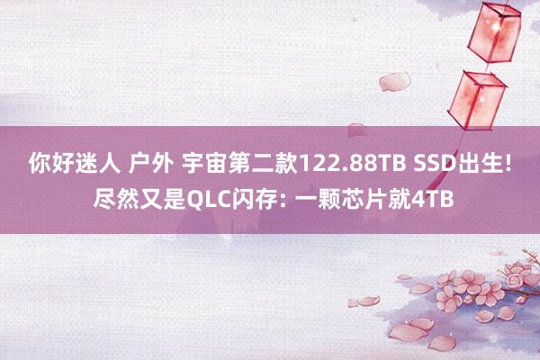你好迷人 户外 宇宙第二款122.88TB SSD出生! 尽然又是QLC闪存: 一颗芯片就4TB