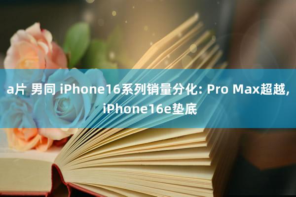a片 男同 iPhone16系列销量分化: Pro Max超越， iPhone16e垫底